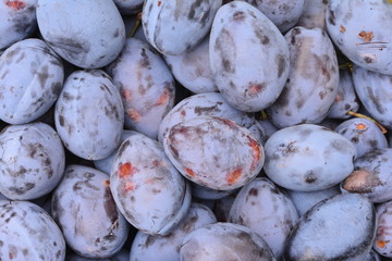plums background