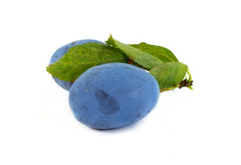 plums isolated on the white background