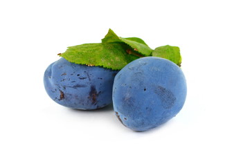 plums isolated on the white background