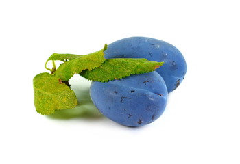 plums isolated on the white background