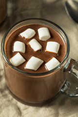 Sweet Homemade Chocolate Hot Cocoa