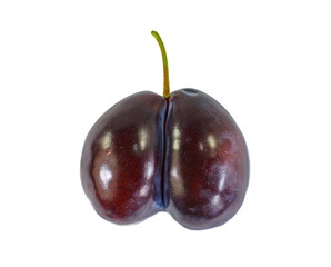 Double plum isolated on the white background