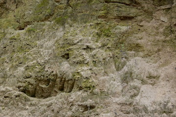 wąwóz lessowy w Nałęczowie