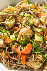 Healthy Homemade Soba Noodle Bowl