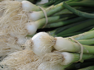 Farmer's market fresh onions