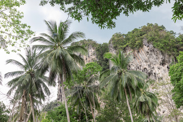 Popular travel tropical karst rocks perfect for climbing, Krabi province, Thailand