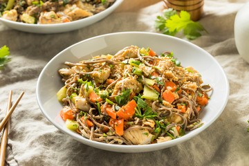 Healthy Homemade Soba Noodle Bowl