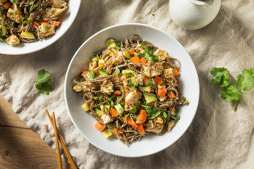 Healthy Homemade Soba Noodle Bowl