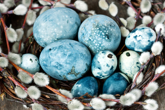 Easter composition with eggs and  spring branches