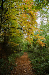 Obraz premium Fröruper Berge bei Flensburg in Schleswig-Holstein.
