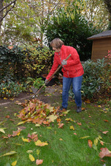 Frau beim Laub harken