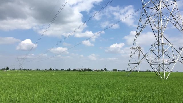 High tension electric towers erected on paddy feilds of India.