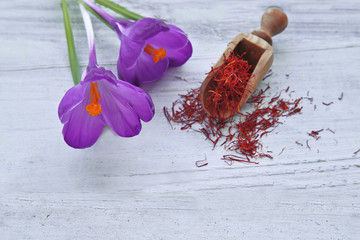 Crocus flowers with saffron spices  on wooden background 