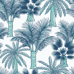 Vector seamless pattern of palmtrees. Different kinds of tropical palm contour sketch background monochrome turquoise isolated on white background.