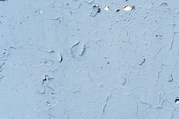 Natural background. Wall with a shabby and peeling paint, crack and plaster.  blue and white