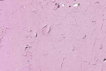 Natural background. Wall with a shabby and peeling paint, crack and plaster.  pink and white