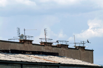 Many antennas on the roof of the old building on which the bird stands