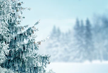 Selbstklebende Fototapeten Winter  background with fir tree branch .Merry Christmas and happy New Year greeting card with copy-space. Christmas landscape with snow and fir trees © Lilya