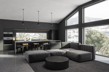 Gray living room and kitchen corner close up