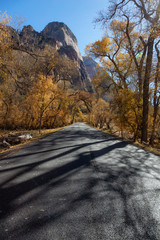 Naklejka na ściany i meble Scenic road in the Canyons during a sunny day in Fall Season. Taken in Zion National Park, Utah, United States.
