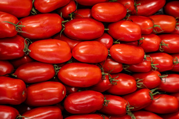 fresh juicy tomatoes on the counter in the biomarket