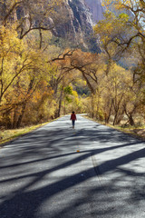 Fototapeta premium Girl walking in the middle of a Scenic Road during a sunny day in Fall Season. Taken in Zion National Park, Utah, United States.