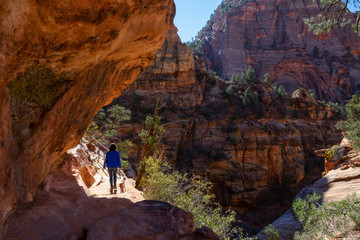 Hiking Trail in the Canyon during a sunny day. Taken in Zion National Park, Utah, United States.