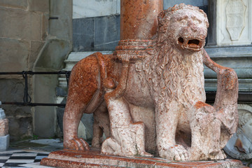 One of the lions supporting the column,Upper town of Bergamo, Italy