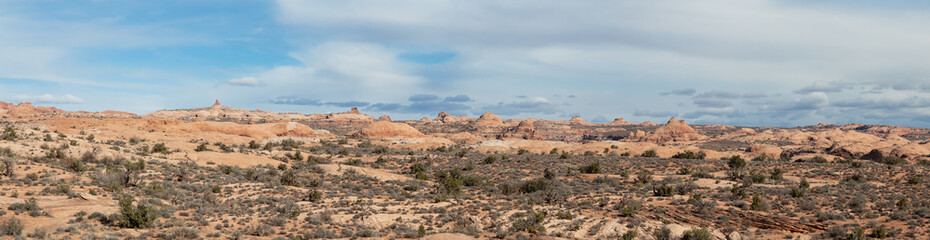 Fototapeta premium Panoramic Landscape view of beautiful red rock canyon formations during a vibrant sunny day. Taken in Arches National Park, located near Moab, Utah, United States.