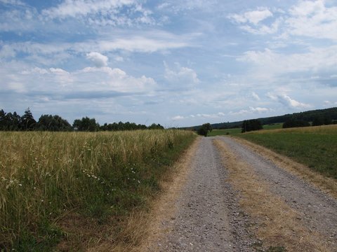 Feldweg zwischen Waldenbuch und Dettenhausen (Baden-W&uuml;rttemberg)