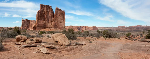 Peel and stick wall murals Salmon Panoramic landscape view of beautiful red rock canyon formations during a vibrant sunny day. Taken in Arches National Park, located near Moab, Utah, United States.