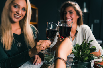 Red Wine Toasting. Female Friends Toasting With Red Wine, Having Fun.