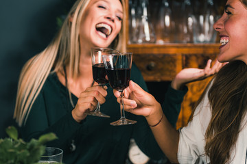 Drinking Red Wine. Young Women Toasting With Red Wine