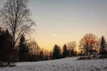 simple countryside landscape in latvia with fields and trees under snow