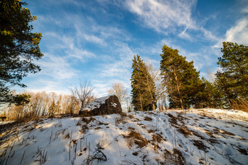 simple countryside landscape in latvia with fields and trees under snow
