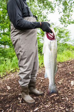 Man holding fish that he caught