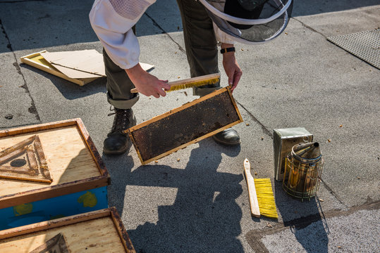 Beekeeper brushing off frames filled with honey