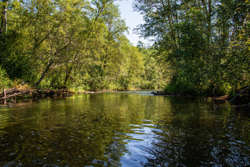 summer day on water in calm river enclosed in forests with sandstone cliffs and dry wood
