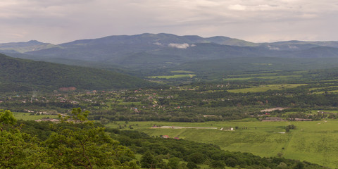 Fototapeta premium Subalpine forest mountain in the sunny day.