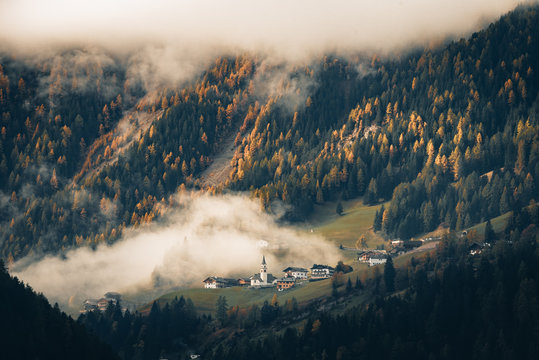 A neighborhood and trees surrounded by misty clouds