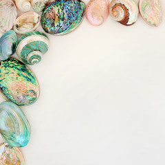 Seashell background border on parchment paper with mother of pearl shells. Top view
