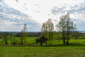 plain simple countryside spring landscape with fresh green meadows and forests