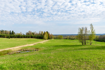 plain simple countryside spring landscape with fresh green meadows and forests