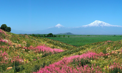 Mountain Ararat