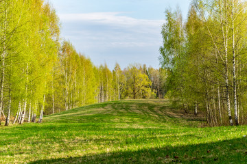 Naklejka premium plain simple countryside spring landscape with fresh green meadows and forests
