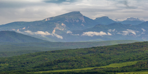 Subalpine forest mountain in the sunny dai.