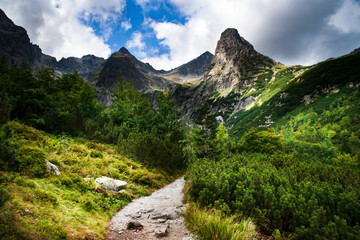 a stone walkway into the mountain valley