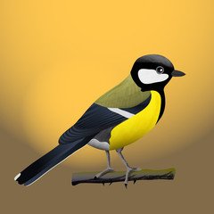 tit bird vector illustration