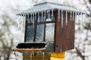 Bird Feeder Covered in Ice