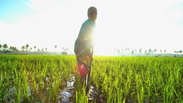 Manual female worker with irrigation tool farming Indonesian rice fields Java 